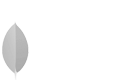 mongoDB